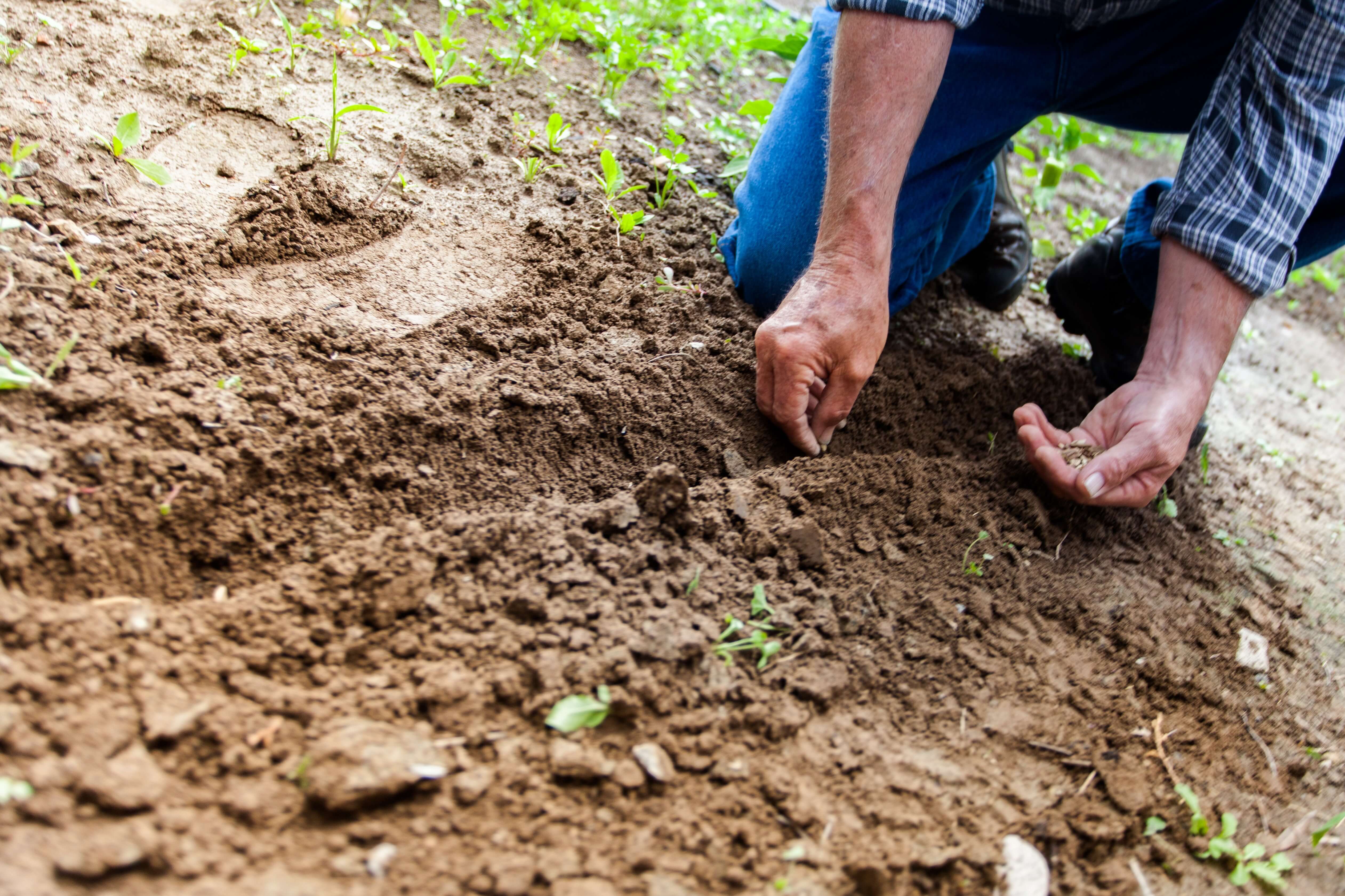 soil stabilization