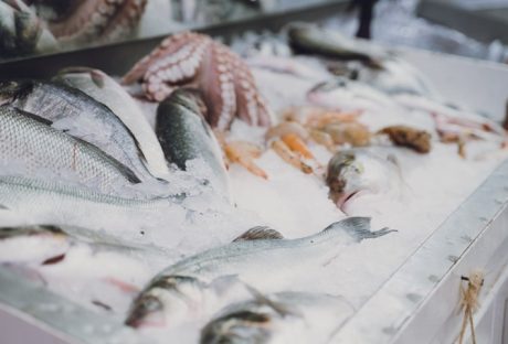 Buying Seafood Wholesale