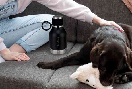 gift for dog lovers Asobubottle.com