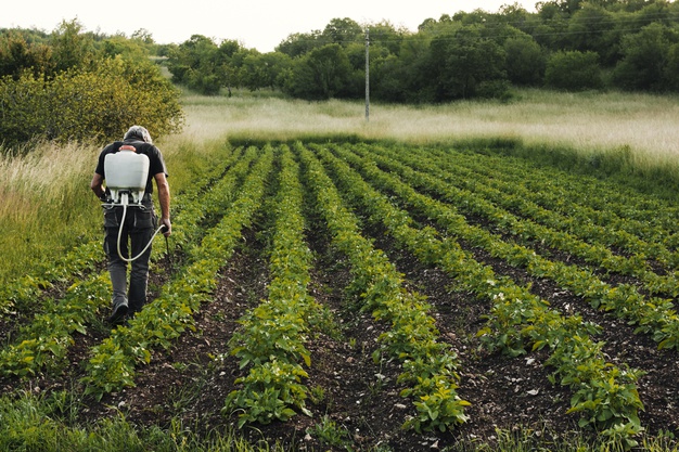 Organic Farm