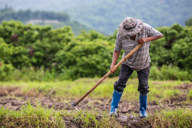 Taking care of crops