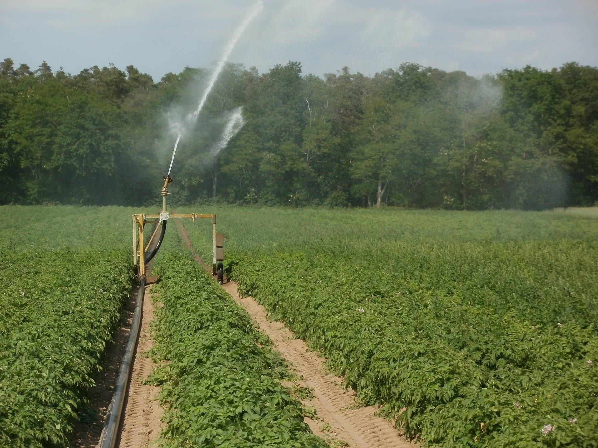 Small Scale Irrigation